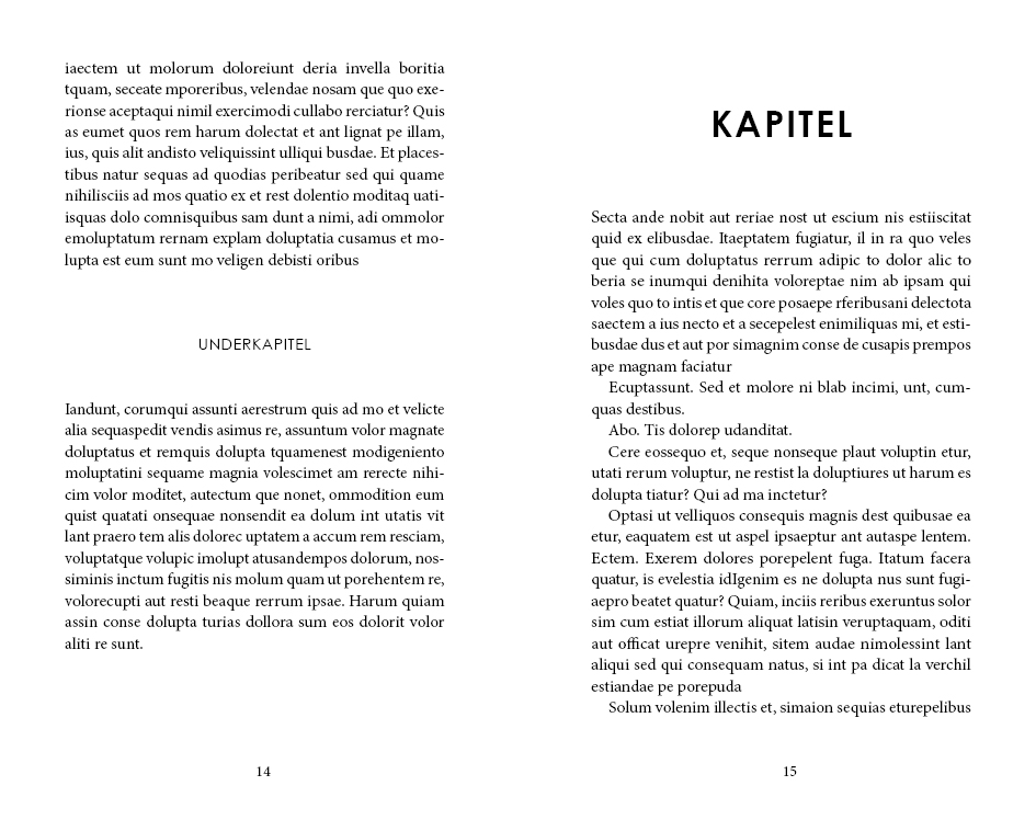 Exempel underkapitel design deckare roman variant modern