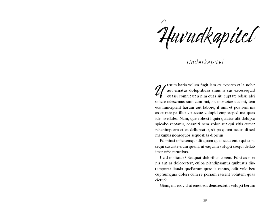 Exempel kapitel design kärleksroman variant individuell