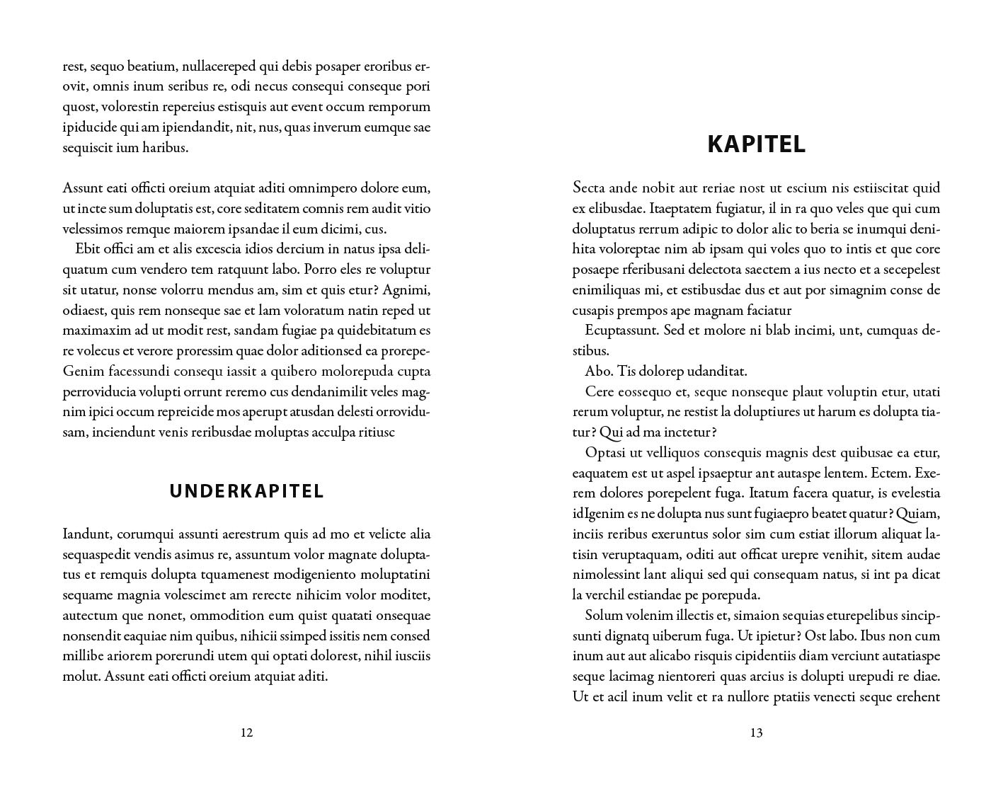 Exempel underkapitel design skönlitteratur universal variant modern