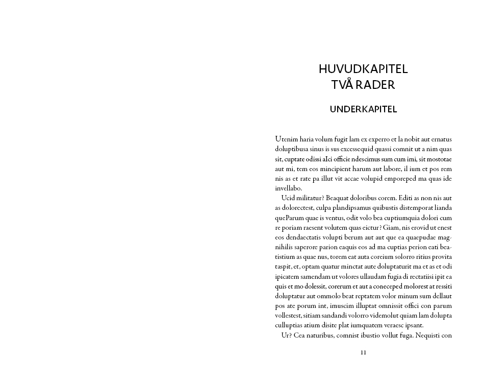 Exempel kapitel design skönlitteratur universal variant modern