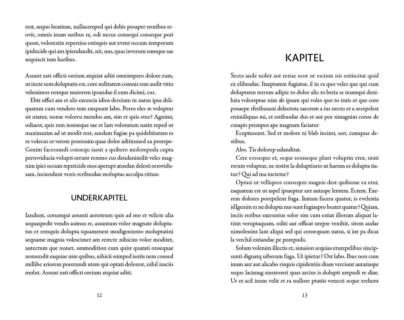 Exempel underkapitel design skönlitteratur universal variant modern